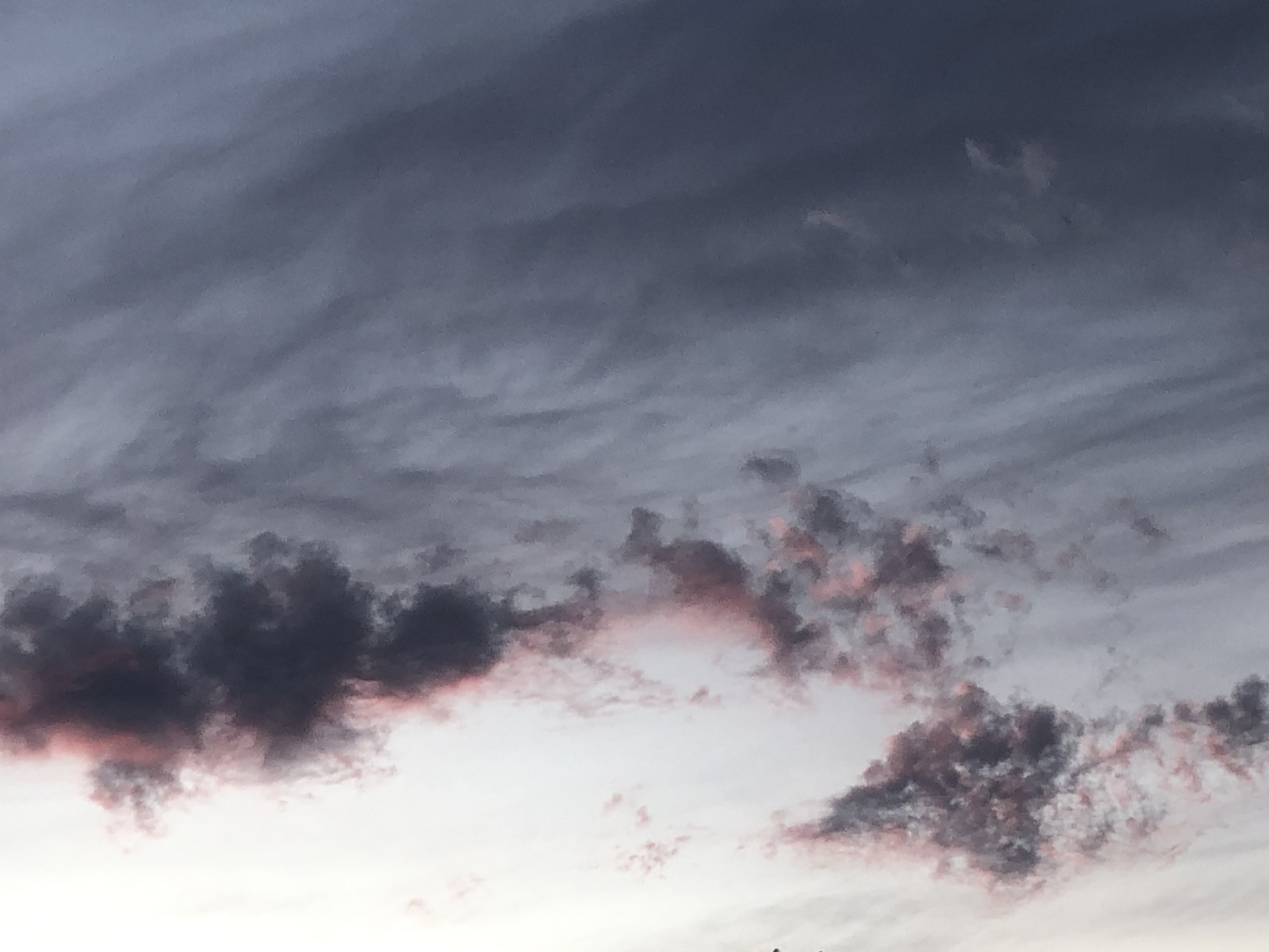 Crimson in the Clouds